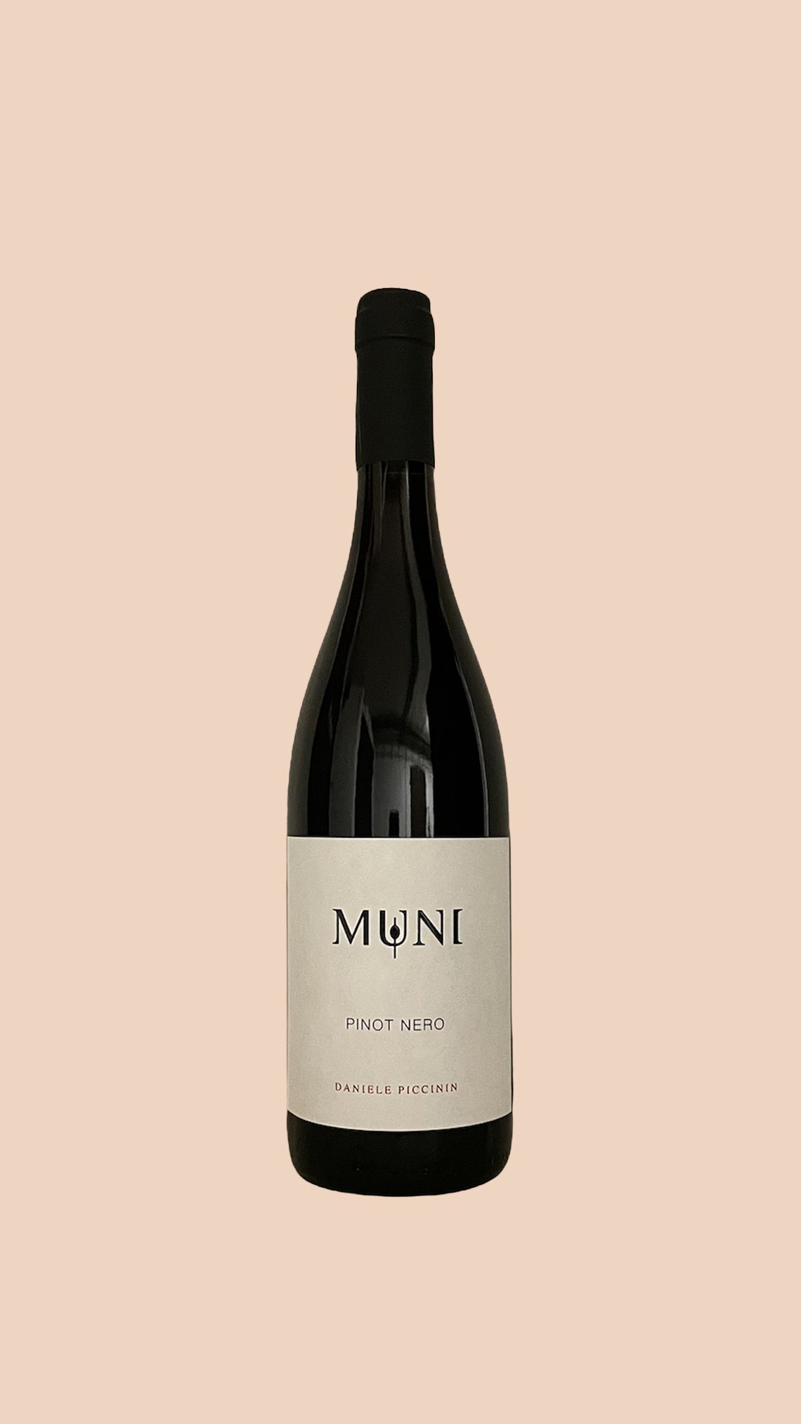 Pinot Nero 2019, Daniele Piccinin